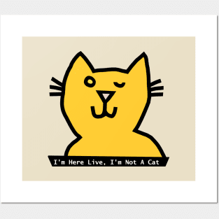 I'm Not a Cat says Meme Cat winking Posters and Art